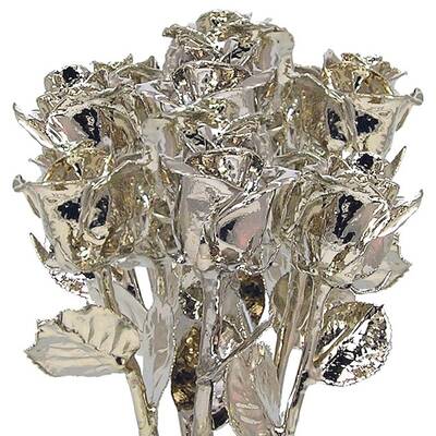 Platinum Dipped Roses: 1 Dozen 17 Rose Bouquet