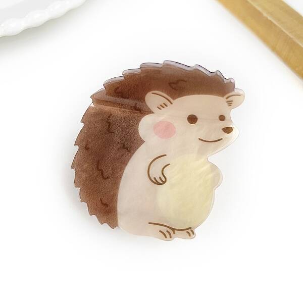 Acrylic Claw Hair Clips