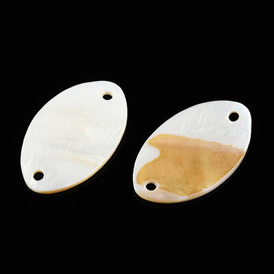 Natural Freshwater Shell Connector Charms