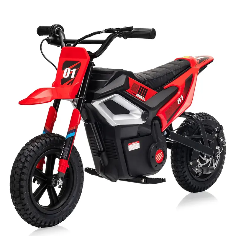 Garvee 24V Electric Dirt Bike 350W Motor 10MPH Speed Key Start Hand Brake 12 Fat Tires Dual Suspension Kids Outdoor Riding