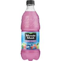 Exclusive Minute Maid Juice Drink 20oz Variety Flavors