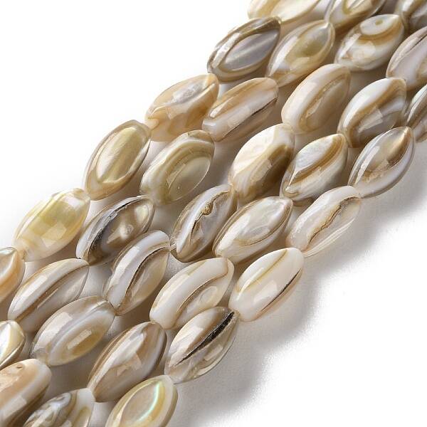 Natural Freshwater Shell Beads Strands