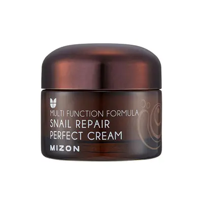 Mizon Face cream with snail secretion filtrate 60% for problem skin 50ml