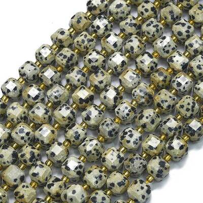 Natural Dalmatian Jasper Beads Strands