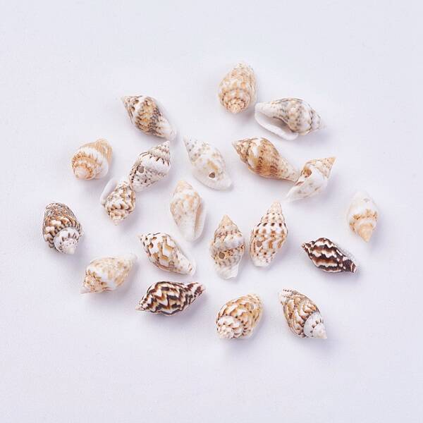 Shell Beads