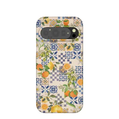 Seashell Amalfi Fruits Google Pixel 9/9 Pro Case