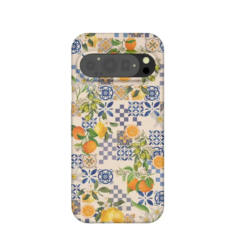 Seashell Amalfi Fruits Google Pixel 9/9 Pro Case