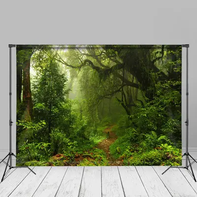 Pathway Green Jungle Nature Spring Cloth Backdrop - Aperturee
