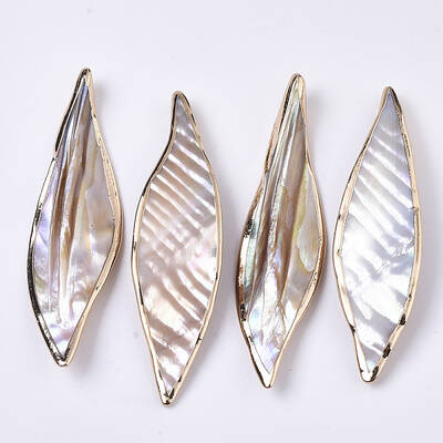Natural Freshwater Shell Big Pendants