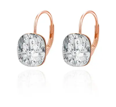 Beneto Elegant bronze earrings with zirconia AGUC2670-ROSE