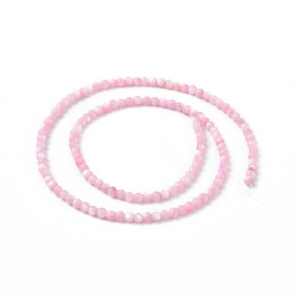 125Pcs Natural Freshwater Shell Beads