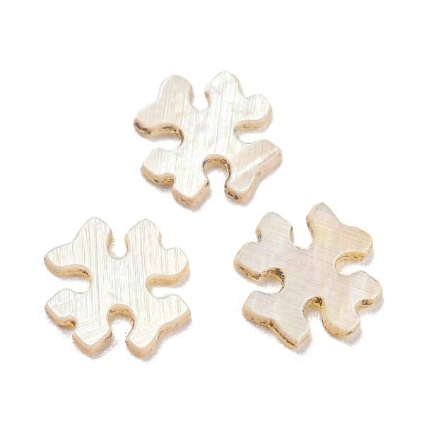 Natural Sea Shell Cabochons