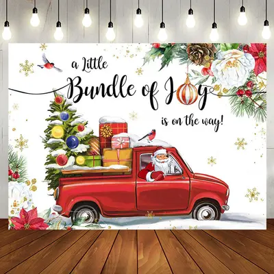 Bundle Of Joy Christmas Santa Baby Shower Backdrop