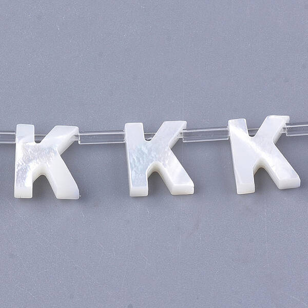 Natural Sea Shell Beads