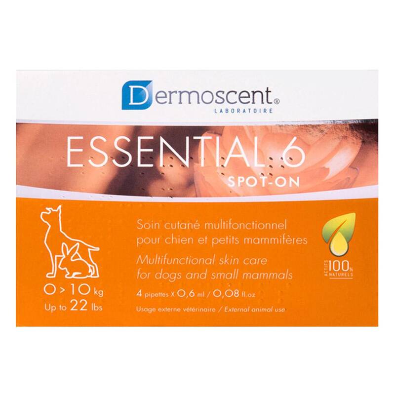 Essential 6 For Dogs For Small Dogs Up To 22 Lbs 4 Pipette