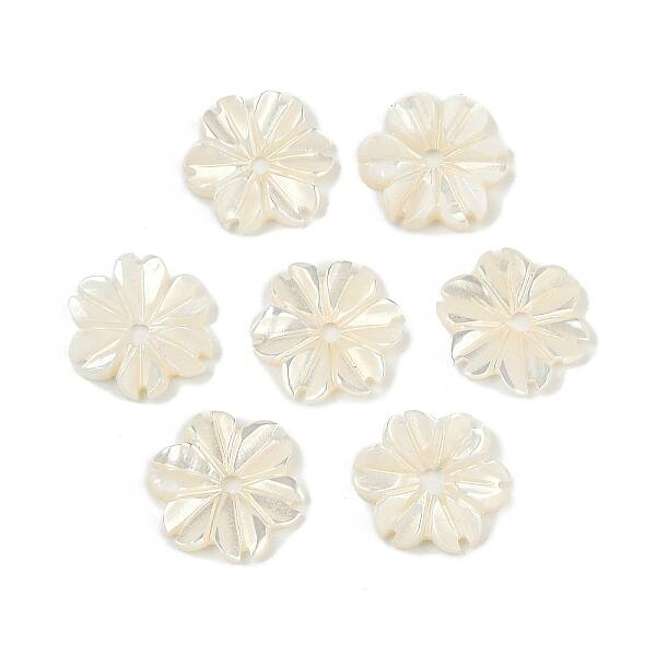 Natural Trochus Shell Flower Charms