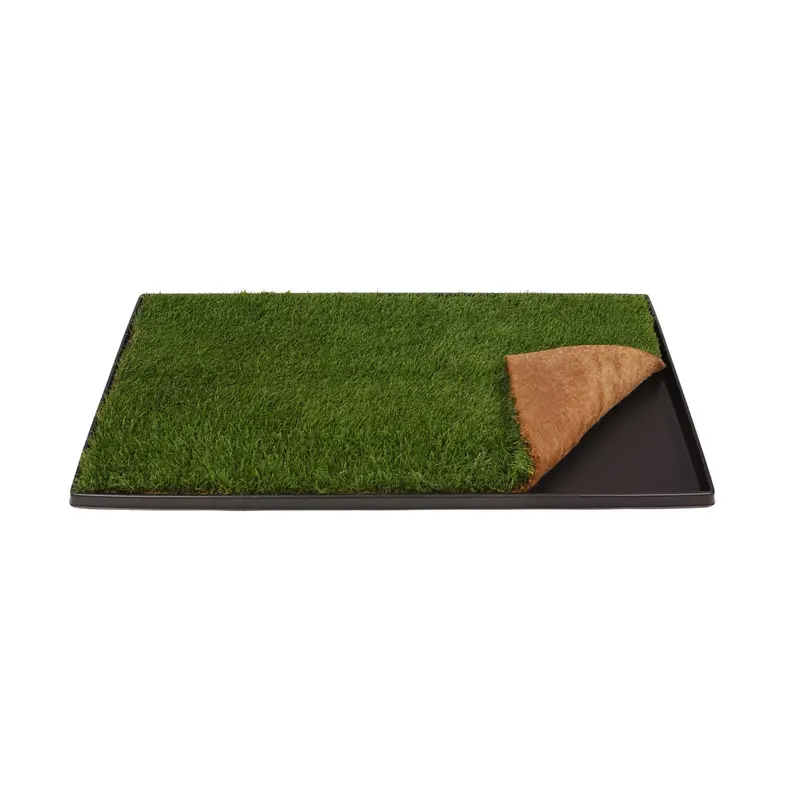 Fresh Patch XL Combo Pack (Grass and Tray)