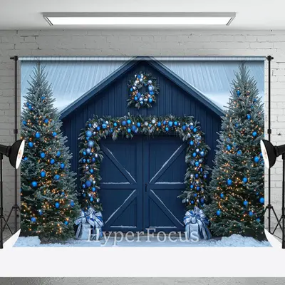 Navy Blue Wood Door Festive Christmas Photo Backdrop - Aperturee