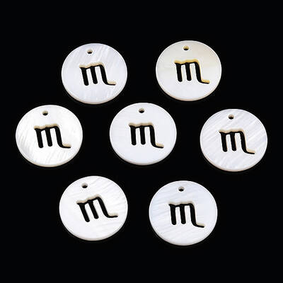 Natural Freshwater Shell Charms