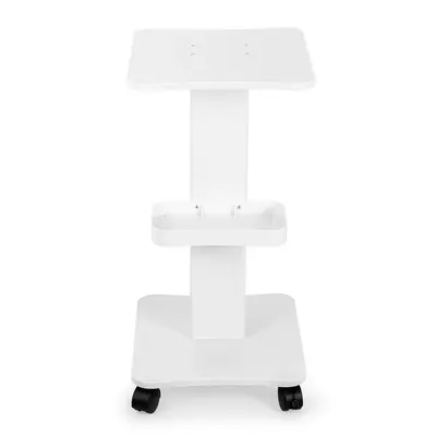 Rolling Trolley Cart Beauty Salon SPA Storage Equipment Machine Organizer Stand