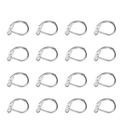 Tarnish Resistant 304 Stainless Steel Leverback Earring Findings
