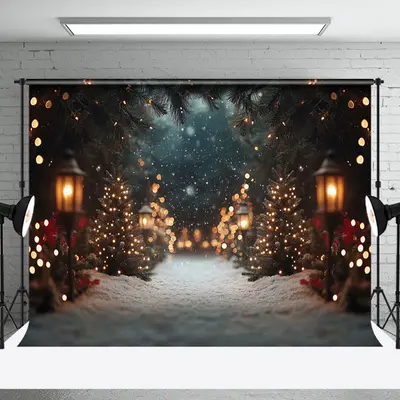 Light Bokeh Snowy Path Winter Christmas Backdrop - Aperturee