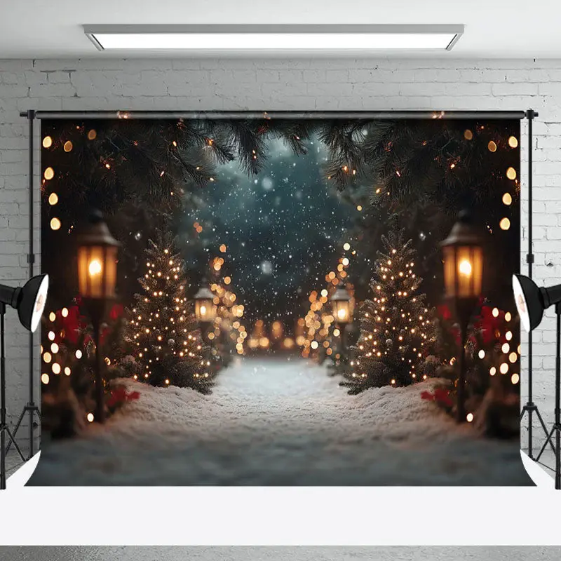 Light Bokeh Snowy Path Winter Christmas Backdrop - Aperturee