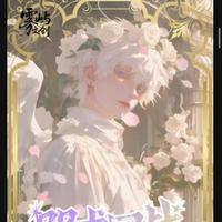 Jujutsu Kaisen 7Culture 6x A6 Board Box CCG