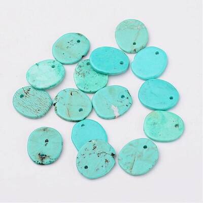 Natural Howlite Charms