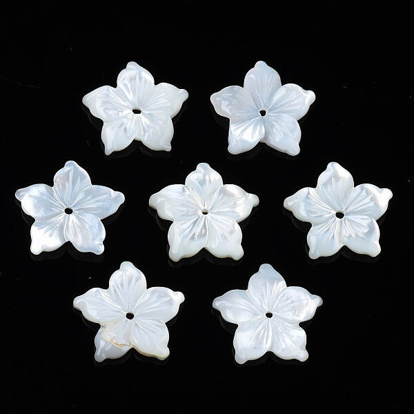Natural White Shell Beads