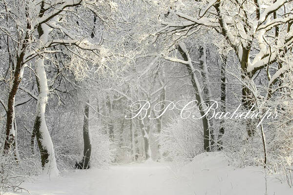 Aperturee Christmas Winter Snow Snowy Forest Photography Backdrop