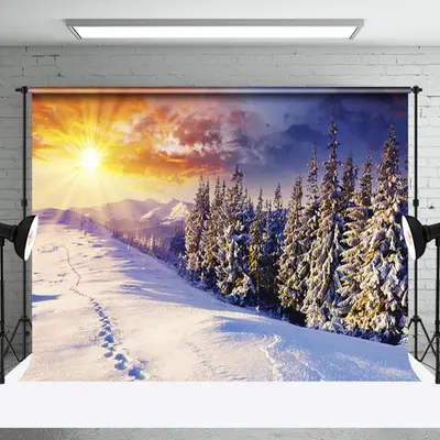 Aperturee Winter Sunrise Snowy Nature Forest Scene Backdrop