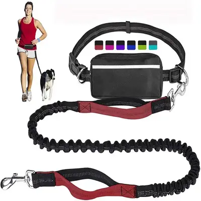 Hands Free Dog Leash withZipper Pouch, Dual Padded Handlesand Durable Bungee for Walking,Jogging and Running Your Dog(Large, ...