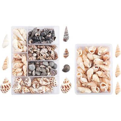 140Pcs 2 Style Natural Shell Beads
