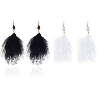 2 Pairs 2 Colors Feather Long Dangle Earrings