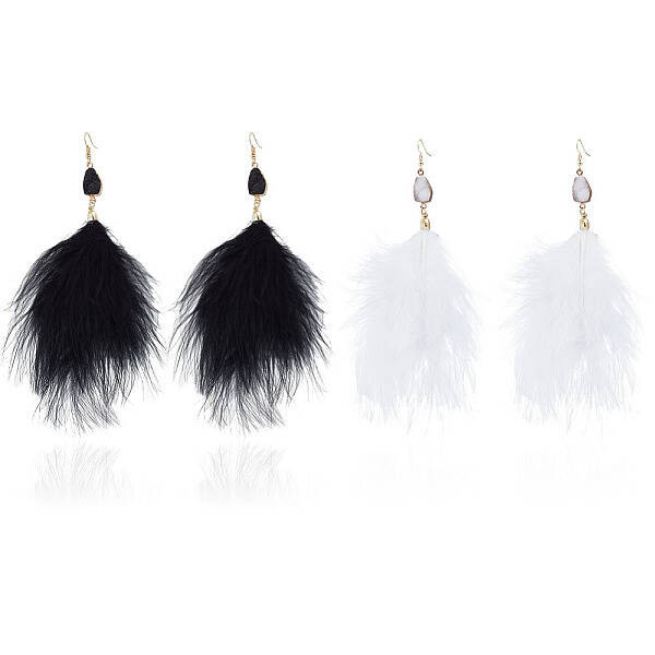 2 Pairs 2 Colors Feather Long Dangle Earrings
