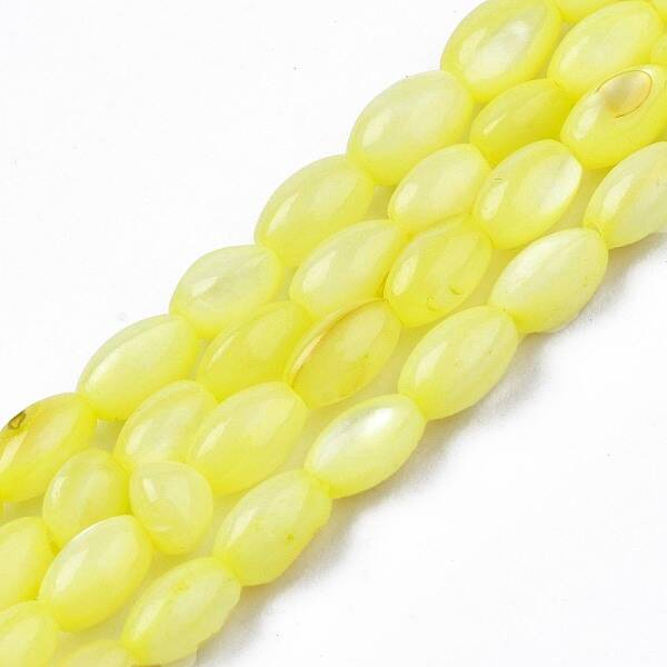 Freshwater Shell Beads Strands