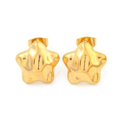 Star 304 Stainless Steel Ear Studs