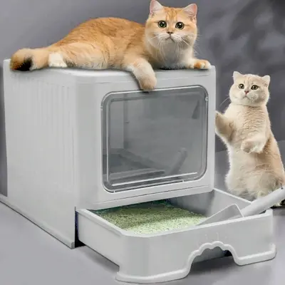 Cat Litter Box with Lid,Ascotsun Covered Cat Litter Box,Litter Box with Door,Foldable Enclosed Litter Box,Anti-Splash Kitty L...