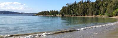 Broulee Island Nature Reserve and Historical Tour