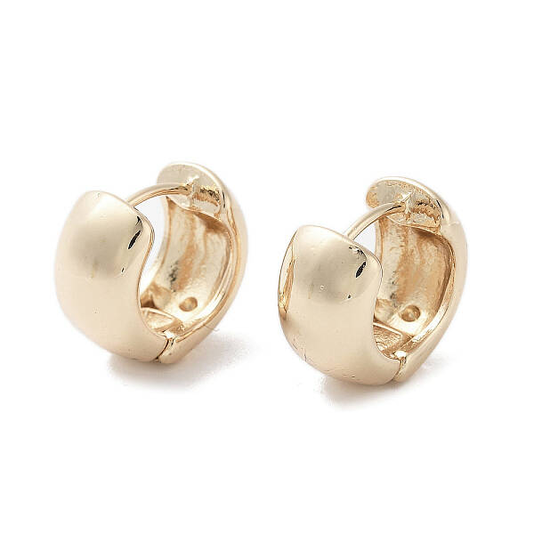 Oval Alloy Thick Hoop Earrings for Women