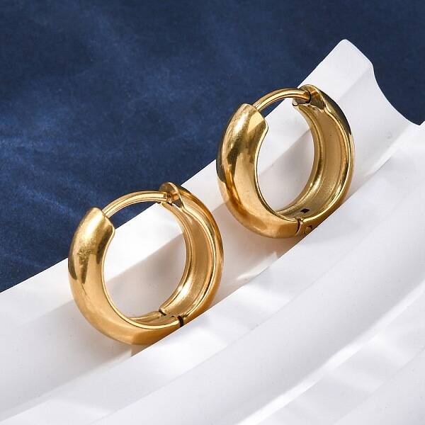 316 Surgical Stainless Steel Hoop Earrings for Women