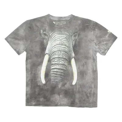 TONES OF AFRICA Elephant Boys T-Shirt Grey Crew Neck 11-12Y