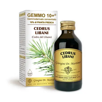 Dr Giorgini gemmo 10+ cedar of lebanon 100 ml non-alcoholic liquid