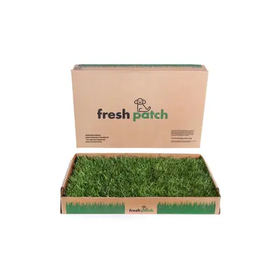 Fresh Patch Real Grass Patch for Dogs, Cats, and Rabbits | Great for Balcony and Animals in the City