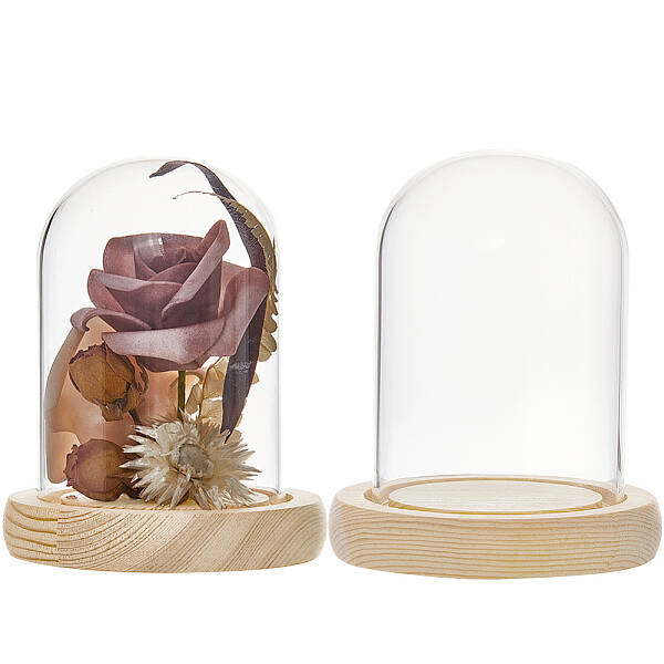 Glass Dome Cover