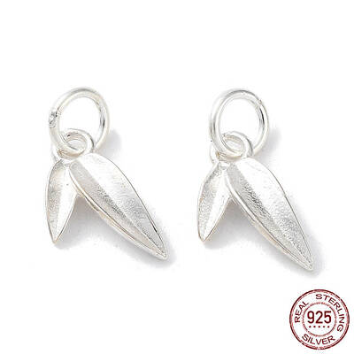 925 Sterling Silver Charms