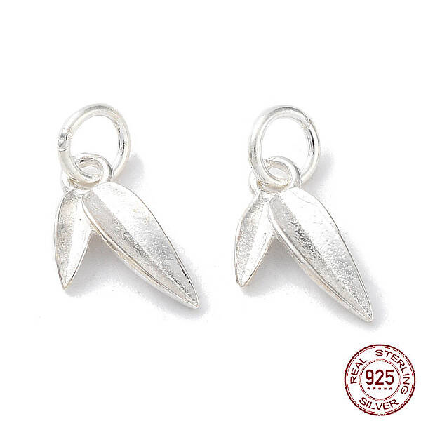 925 Sterling Silver Charms