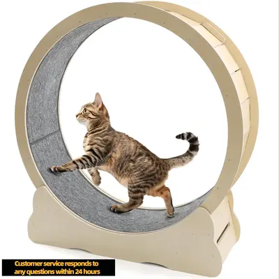 ăFriendly customer serviceăYODOLLA 41.3â/35.8â/46''Cat Exercise Running Wheel,Cat Wheel for Indoor Cats, Large Quiet ...