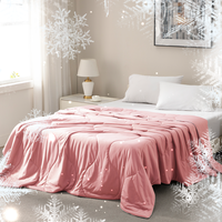 【Summer Gift】ELNIDO QUEEN Summer Cooling Comforter, Full/Queen, Nylon Blanket for Hot Sleepers, All Season Bedding to Kee...